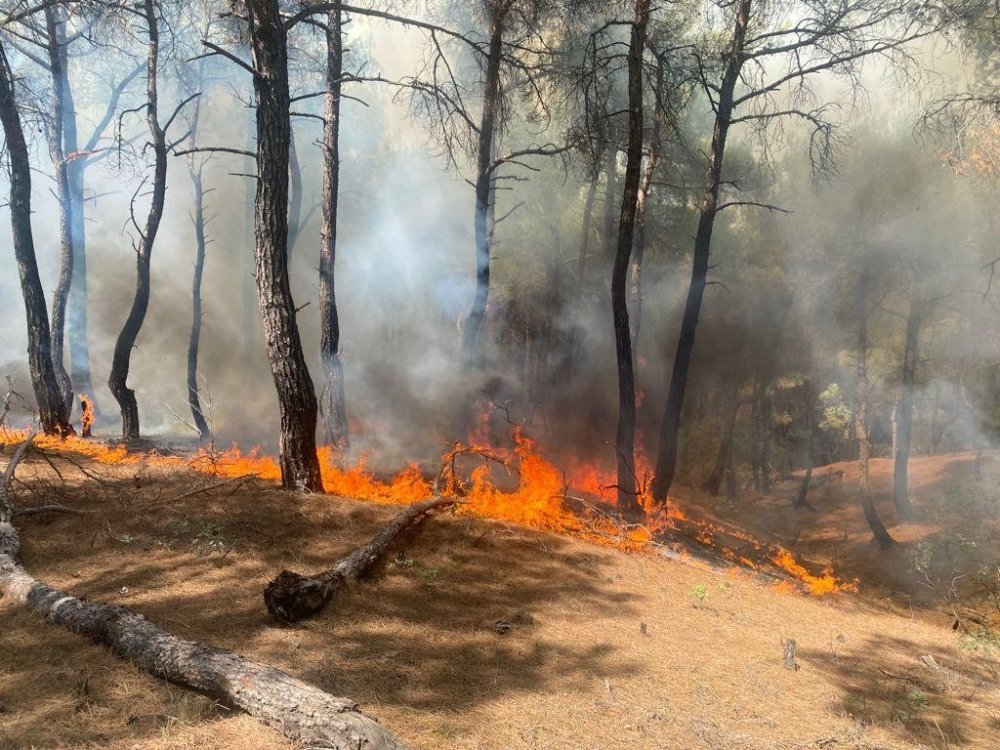 Uşak’ta orman yangını! Büyümeden kontrol altına alındı