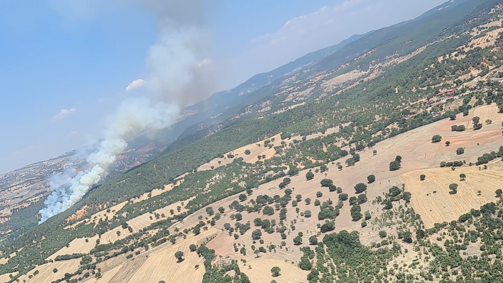 Uşak’ta orman yangını! Büyümeden kontrol altına alındı