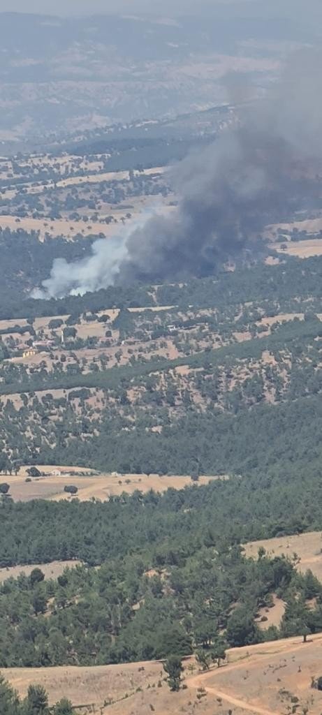 Uşak’ta orman yangını! Büyümeden kontrol altına alındı