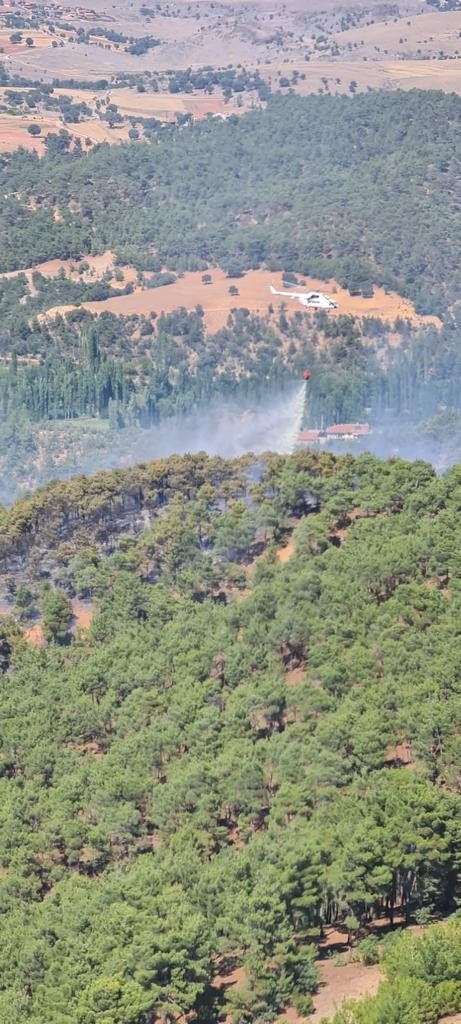 Uşak’ta orman yangını! Büyümeden kontrol altına alındı