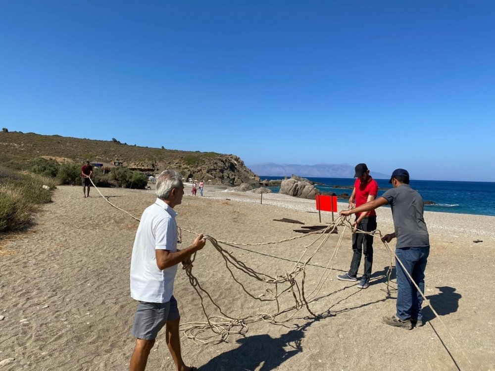 Yine 'koparan yandı' mevsimine girdik! İzmir'de kum zambağını koparmanın cezası 80 bin lira