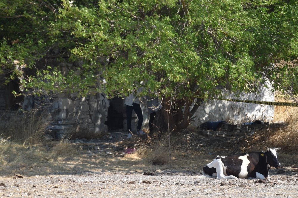 İzmir’de cinayet şüğhesi! Osman Küçük'ün cesedi boş arazide ceset bulundu
