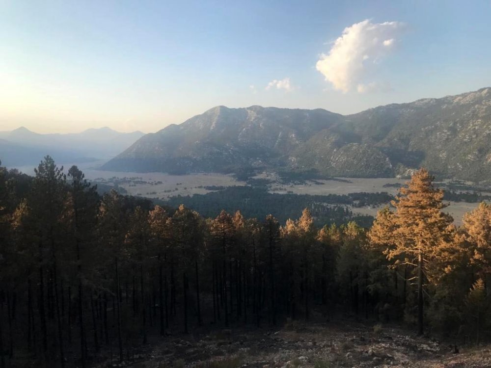 Orman yangınının ardından Akseki’de kara avcılığına yasak geldi