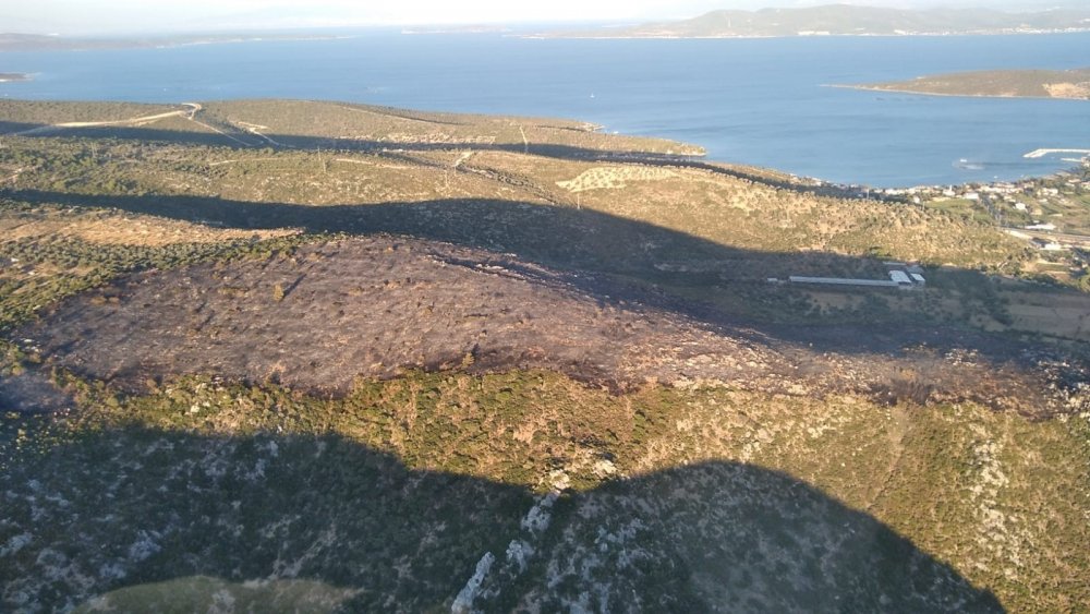 İzmir’deki orman yangınları havadan ve karadan kontrol altına alındı