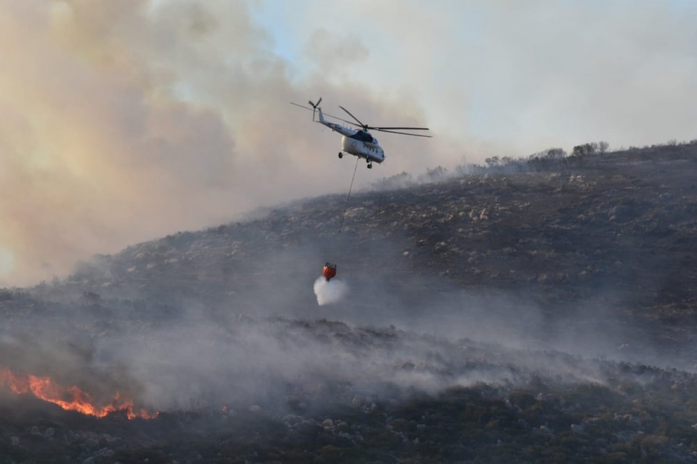 İzmir’deki orman yangınları havadan ve karadan kontrol altına alındı