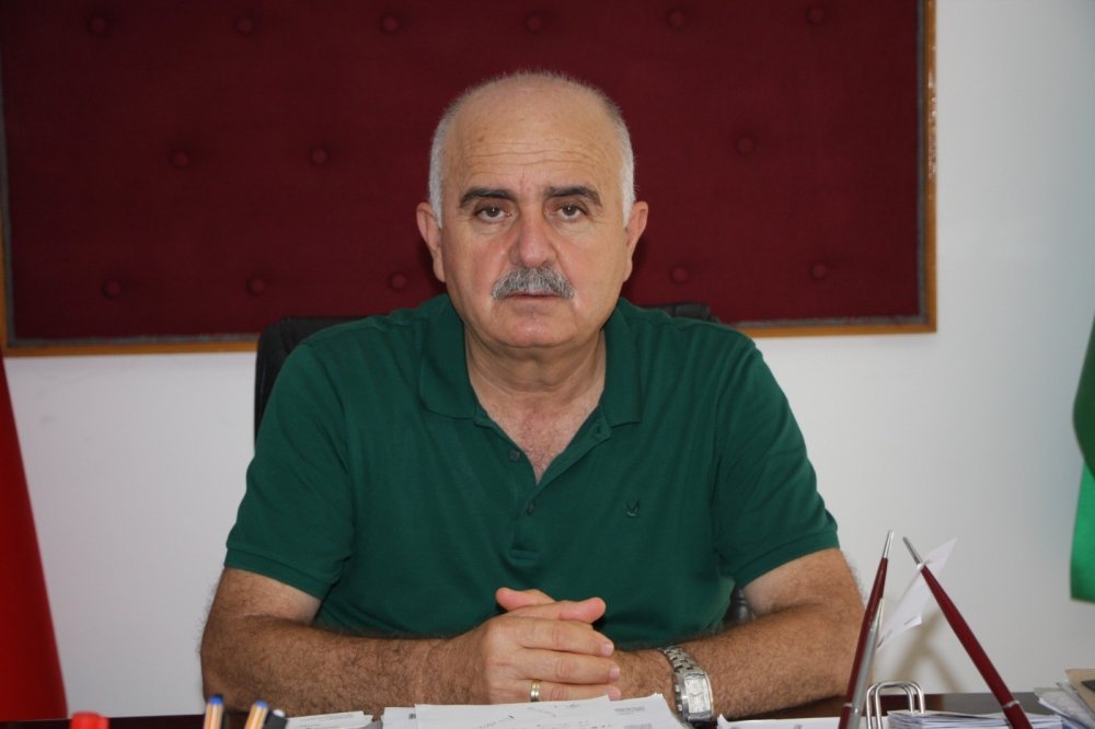 Manavgat'ta yaklaşık 500 bin zeytin ağacı yandı