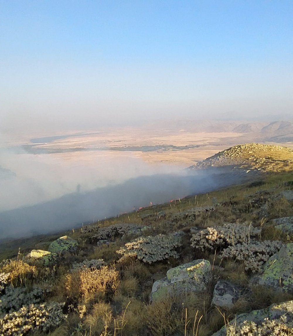 Develi'de makilik alanda yangın çıktı!
