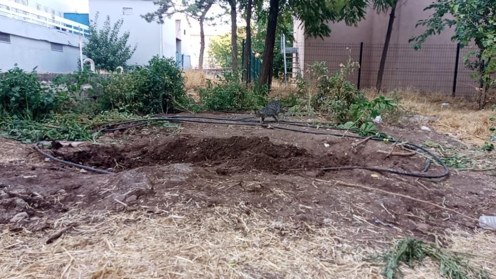 Elektrikli ocakta yemek pişirirken akıma kapılan kadını toprağa gömmüşlerdi! Yakını olayı anlattı