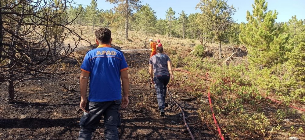 Konya’da tarladaki anız yangını ormana sıçradı!