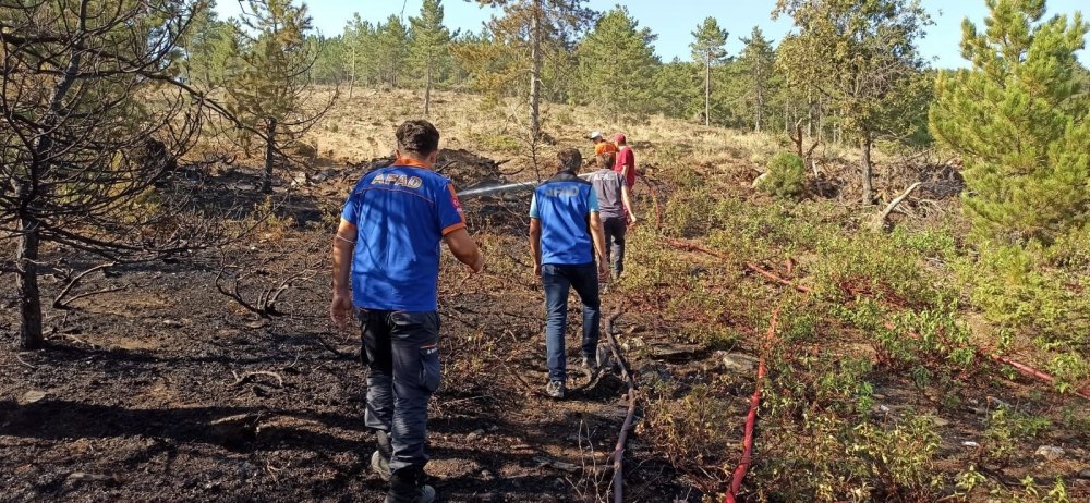 Konya’da tarladaki anız yangını ormana sıçradı!