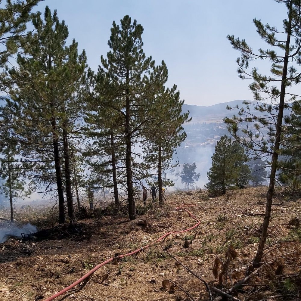 Konya’da tarladaki anız yangını ormana sıçradı!
