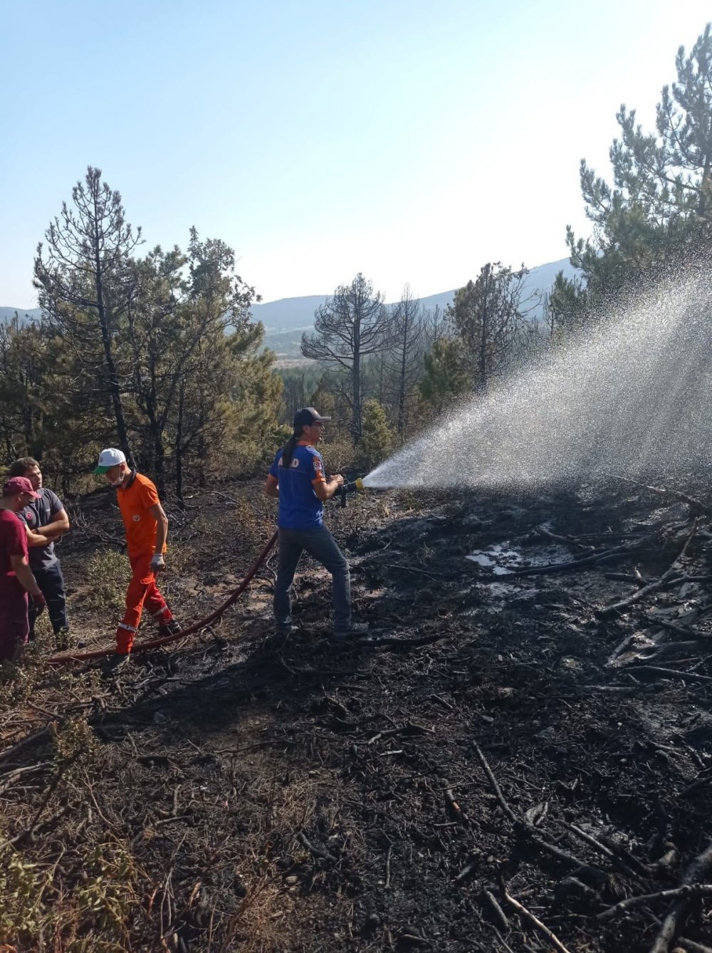 Konya’da tarladaki anız yangını ormana sıçradı!