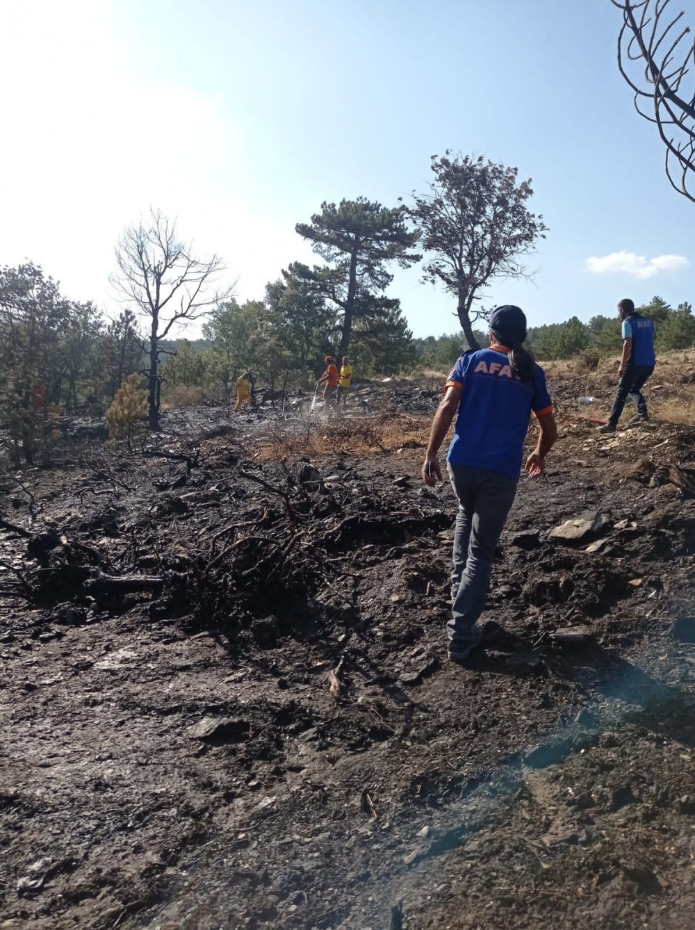 Konya’da tarladaki anız yangını ormana sıçradı!