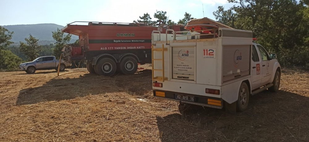 Konya’da tarladaki anız yangını ormana sıçradı!