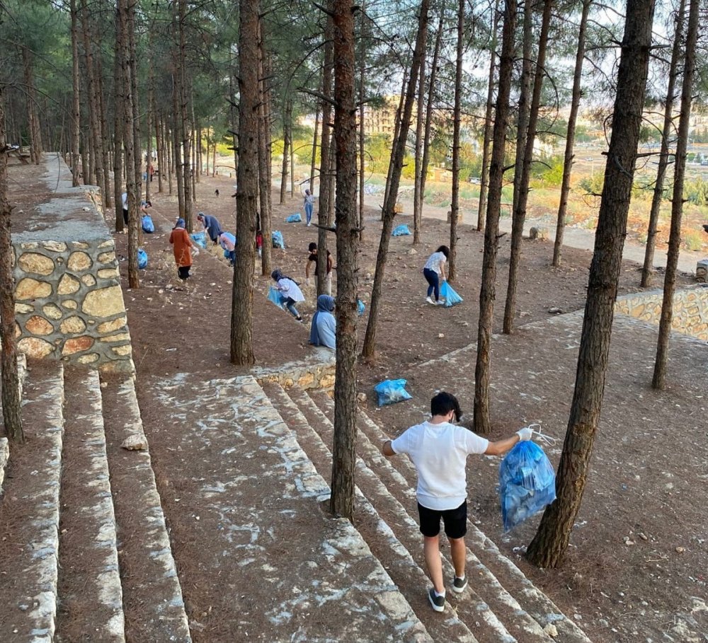 Sosyal medyada organize olan gençler ormanı temizledi