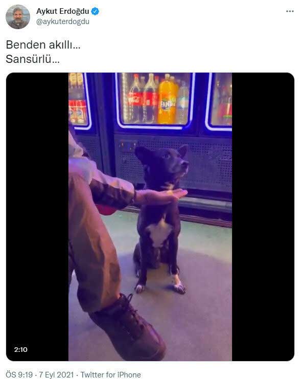 aykut-erdogdu.jpg