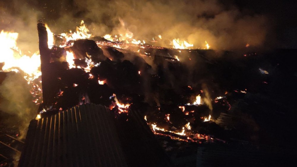 Besi çiftliği alev alev yandı! Hayvanlar son anda kurtarıldı