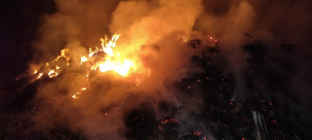 Besi çiftliği alev alev yandı! Hayvanlar son anda kurtarıldı