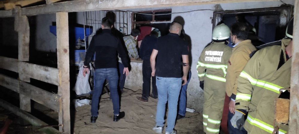 Besi çiftliği alev alev yandı! Hayvanlar son anda kurtarıldı