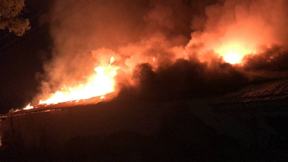 Besi çiftliği alev alev yandı! Hayvanlar son anda kurtarıldı