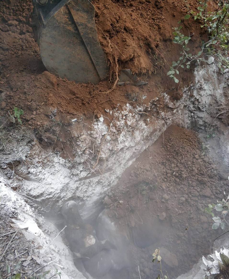 İznik'te kene alarmı! 1 haftada 20 hayvan öldü