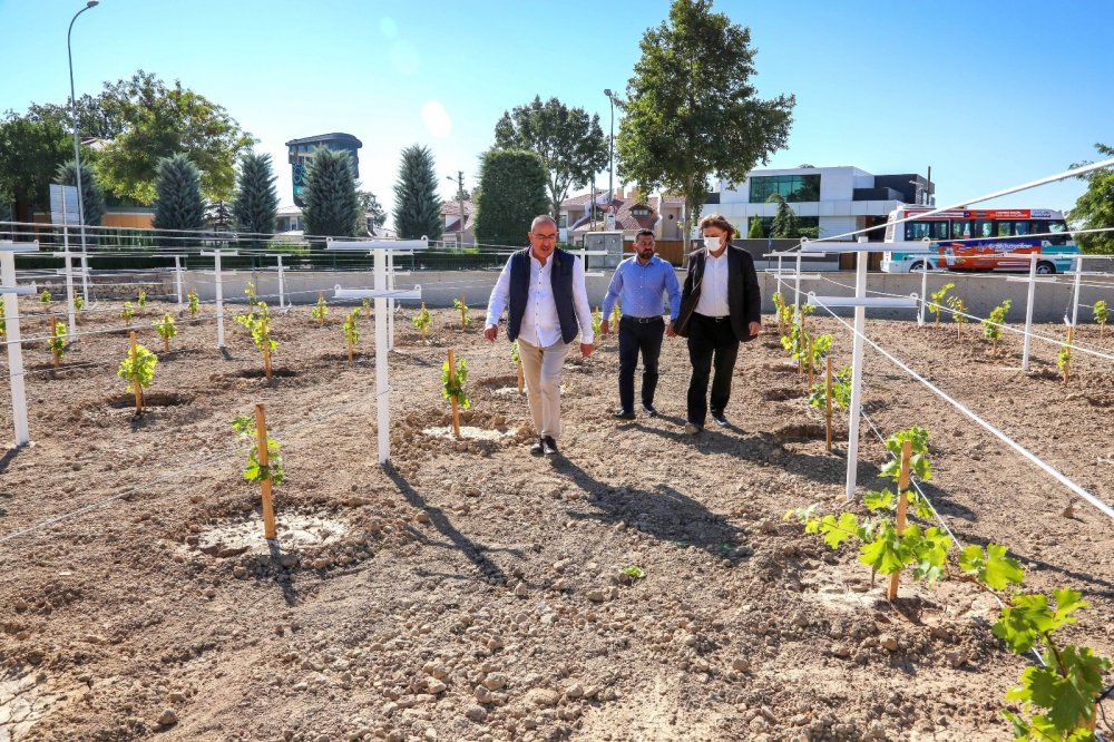 Evliya Çelebi'nin övgüyle söz ettiği 'Bağ-ı Meram' yeniden hayat buluyor