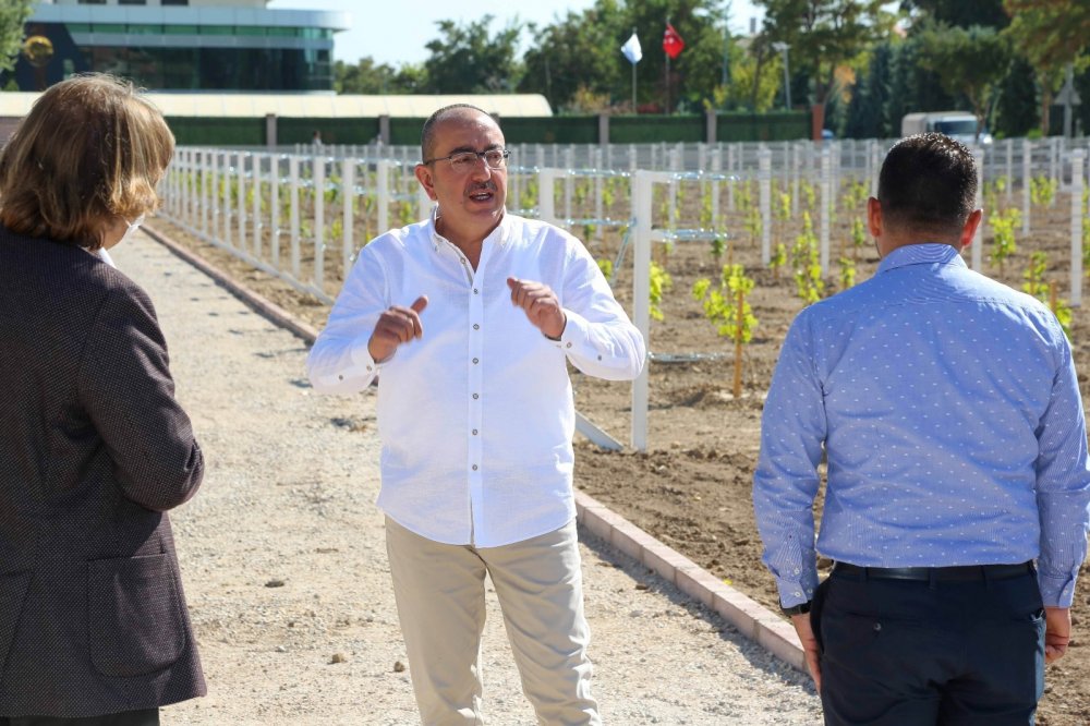 Evliya Çelebi'nin övgüyle söz ettiği 'Bağ-ı Meram' yeniden hayat buluyor