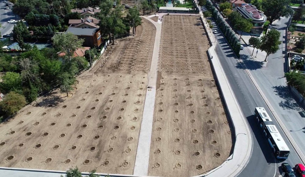 Evliya Çelebi'nin övgüyle söz ettiği 'Bağ-ı Meram' yeniden hayat buluyor