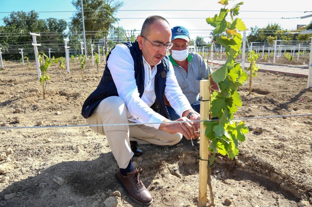 Evliya Çelebi'nin övgüyle söz ettiği 'Bağ-ı Meram' yeniden hayat buluyor