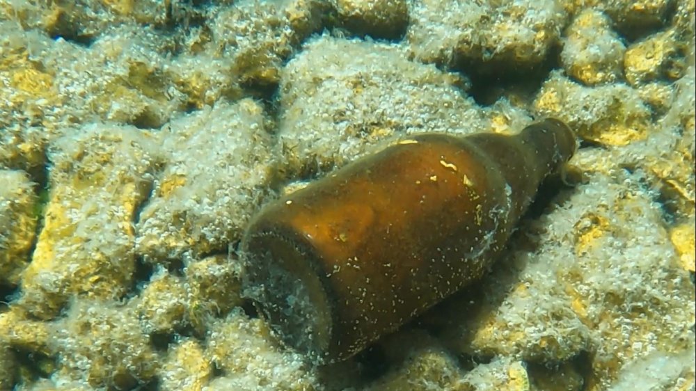 Antalya’nın en önemli içme suyu kaynağında kirlilik korkuttu
