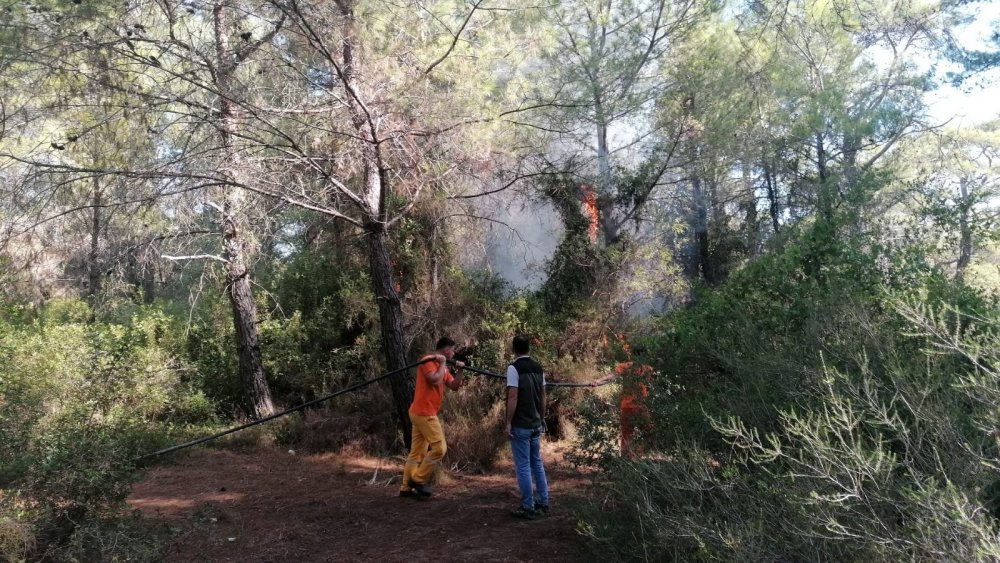 Manavgat'da ormanı 3 noktayı tutuşturup 4'ncüyü yakarken yakalanan Semih Kuloğlu sabıkalı çıktı
