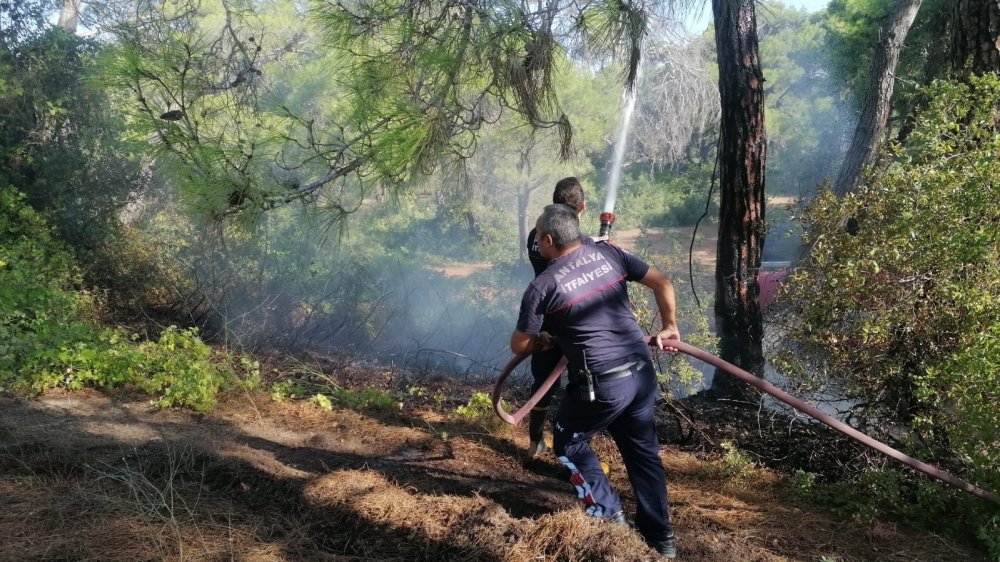 Manavgat'da ormanı 3 noktayı tutuşturup 4'ncüyü yakarken yakalanan Semih Kuloğlu sabıkalı çıktı