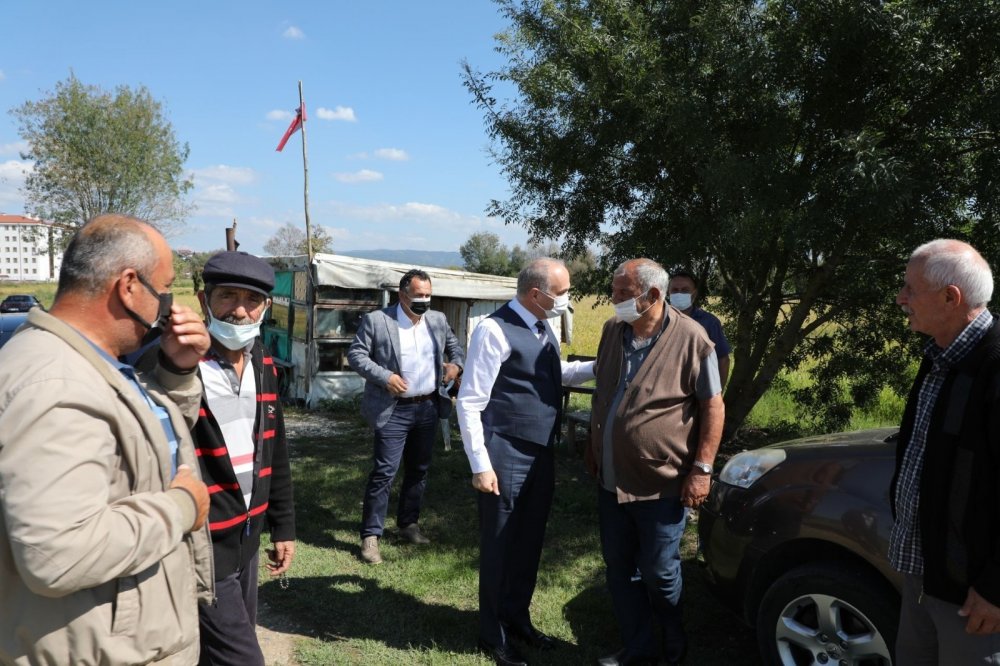 Saray mutfağının vazgeçilmez Konuralp pirincinin hasat zamanı geldi