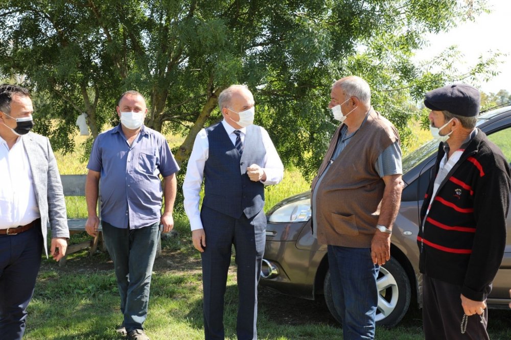 Saray mutfağının vazgeçilmez Konuralp pirincinin hasat zamanı geldi