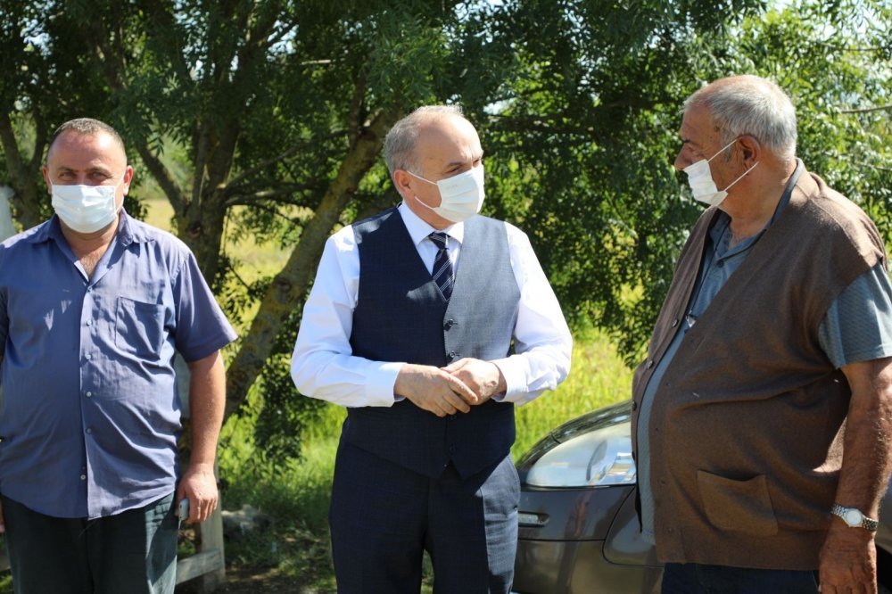 Saray mutfağının vazgeçilmez Konuralp pirincinin hasat zamanı geldi
