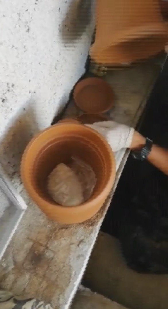 Saksıdan uyuşturucu zulası çıktı