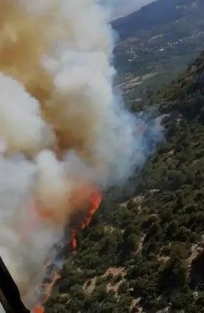 Bucak’taki orman yangını kontrol altına alındı