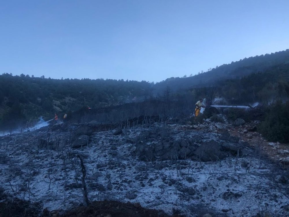 Bucak’taki orman yangını kontrol altına alındı