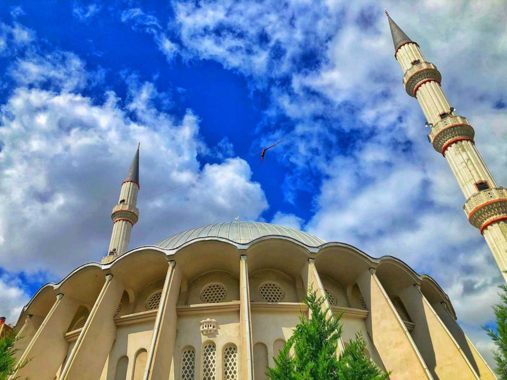 Konya Büyükşehir sahipsiz hayvanlara kucak açıyor