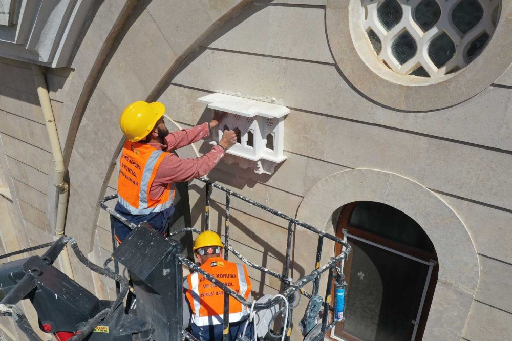 Konya Büyükşehir sahipsiz hayvanlara kucak açıyor