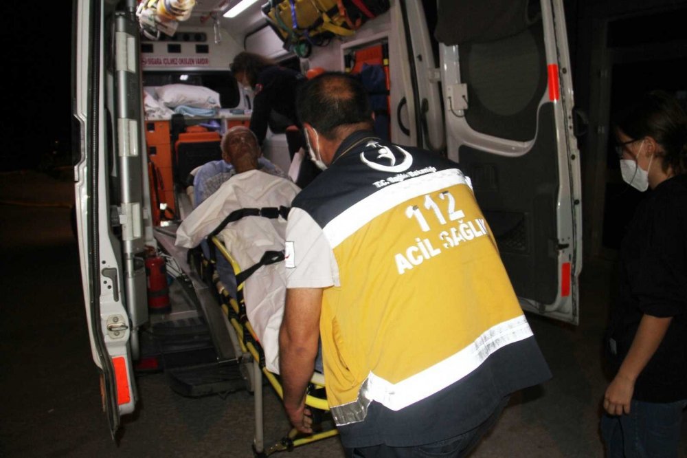 Konya'da başıboş köpek önce tavuklara sonra yaşlı adama saldırdı!