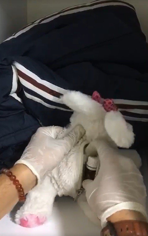 Konya'da uyuşturucu operasyonu! Pelüş oyuncak içerisinden zehir çıktı