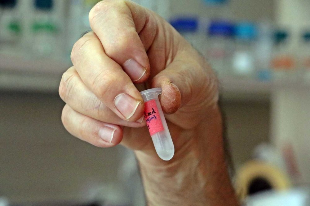 Covid-19’a karşı kokteyl aşı! Çocuklarda da güvenle kullanılabileceği iddia edildi