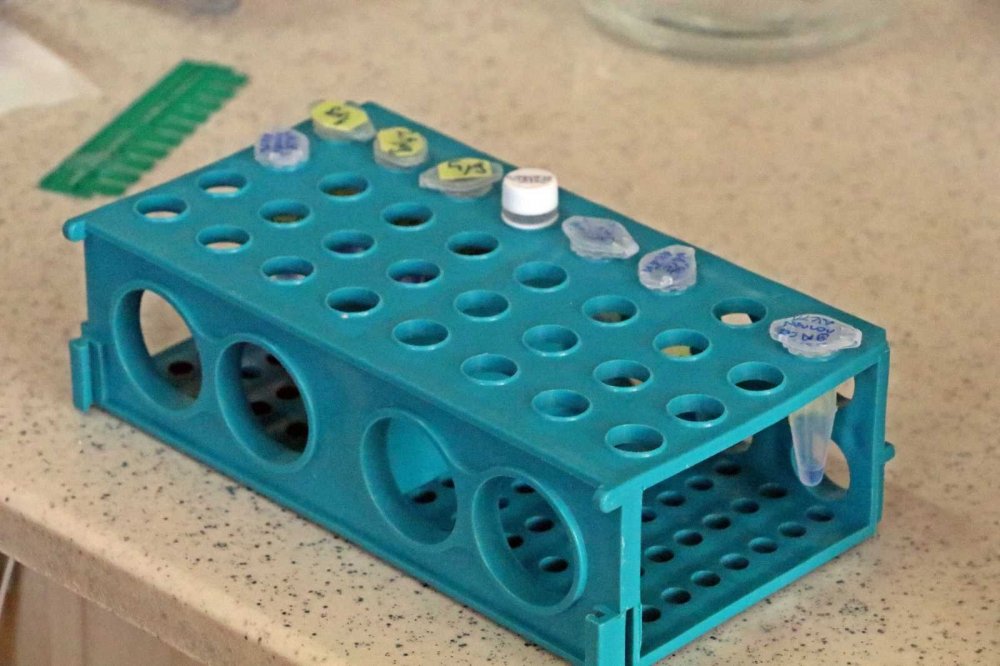 Covid-19’a karşı kokteyl aşı! Çocuklarda da güvenle kullanılabileceği iddia edildi