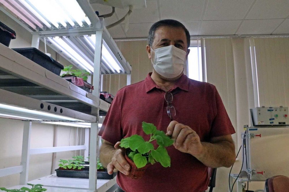 Covid-19’a karşı kokteyl aşı! Çocuklarda da güvenle kullanılabileceği iddia edildi