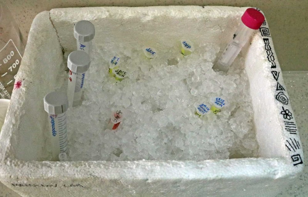 Covid-19’a karşı kokteyl aşı! Çocuklarda da güvenle kullanılabileceği iddia edildi