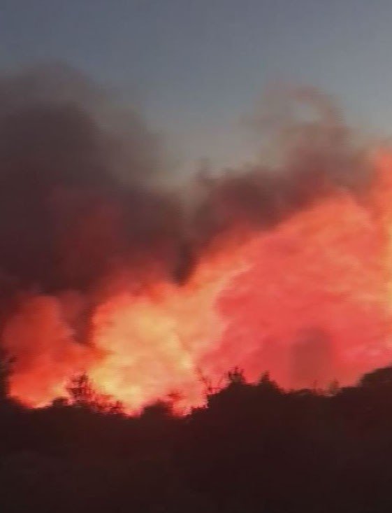 Karaburun'da çıkan orman yangını 4 saatte kontrol altına alındı
