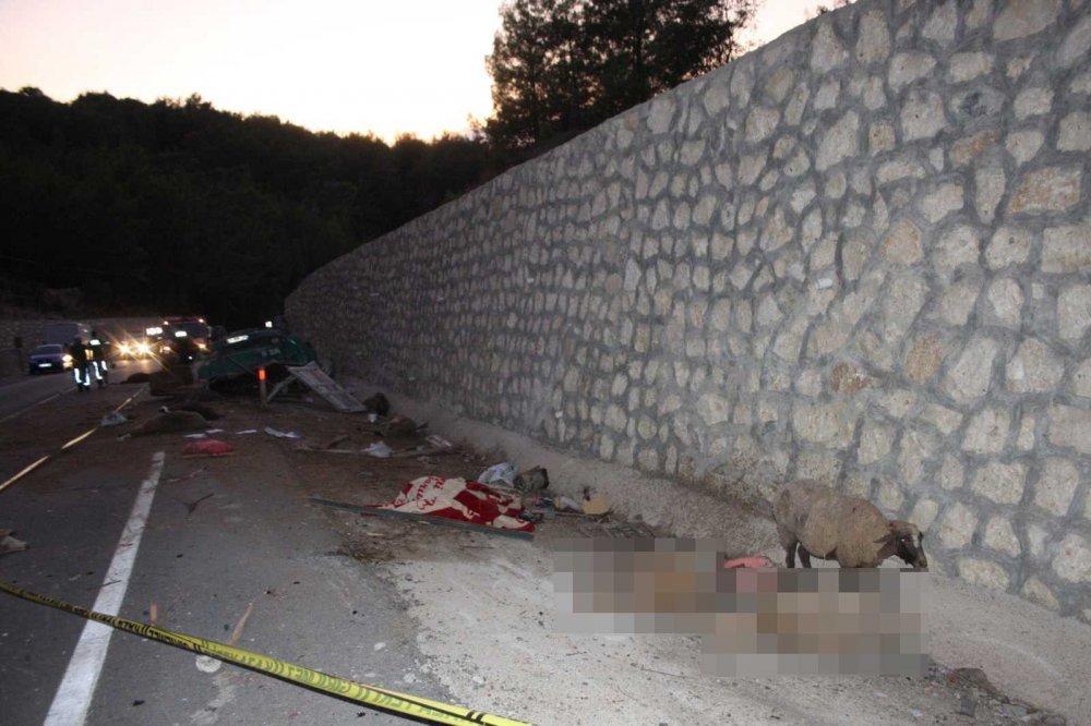 Koyun yüklü kamyon takla attı! Baba Mehmet ve 7 yaşındaki oğlu Murat Doğan Yıldırım öldü