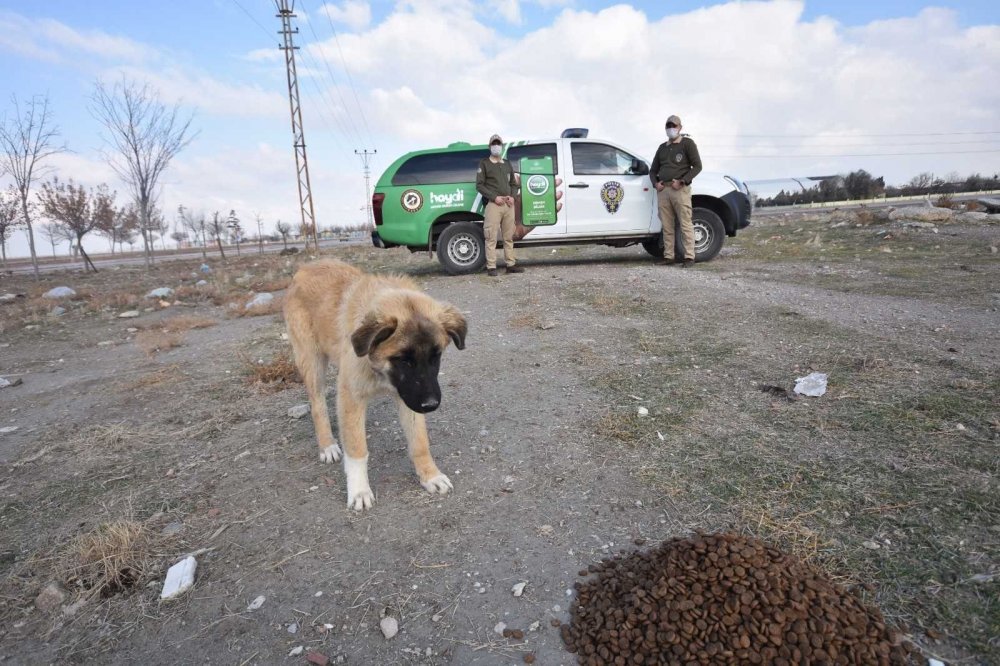 Konya polisi doğa ve hayvanlara karşı işlenen suçlara karşı teyakkuzda