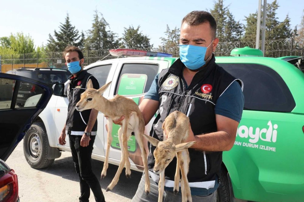 Konya polisi doğa ve hayvanlara karşı işlenen suçlara karşı teyakkuzda
